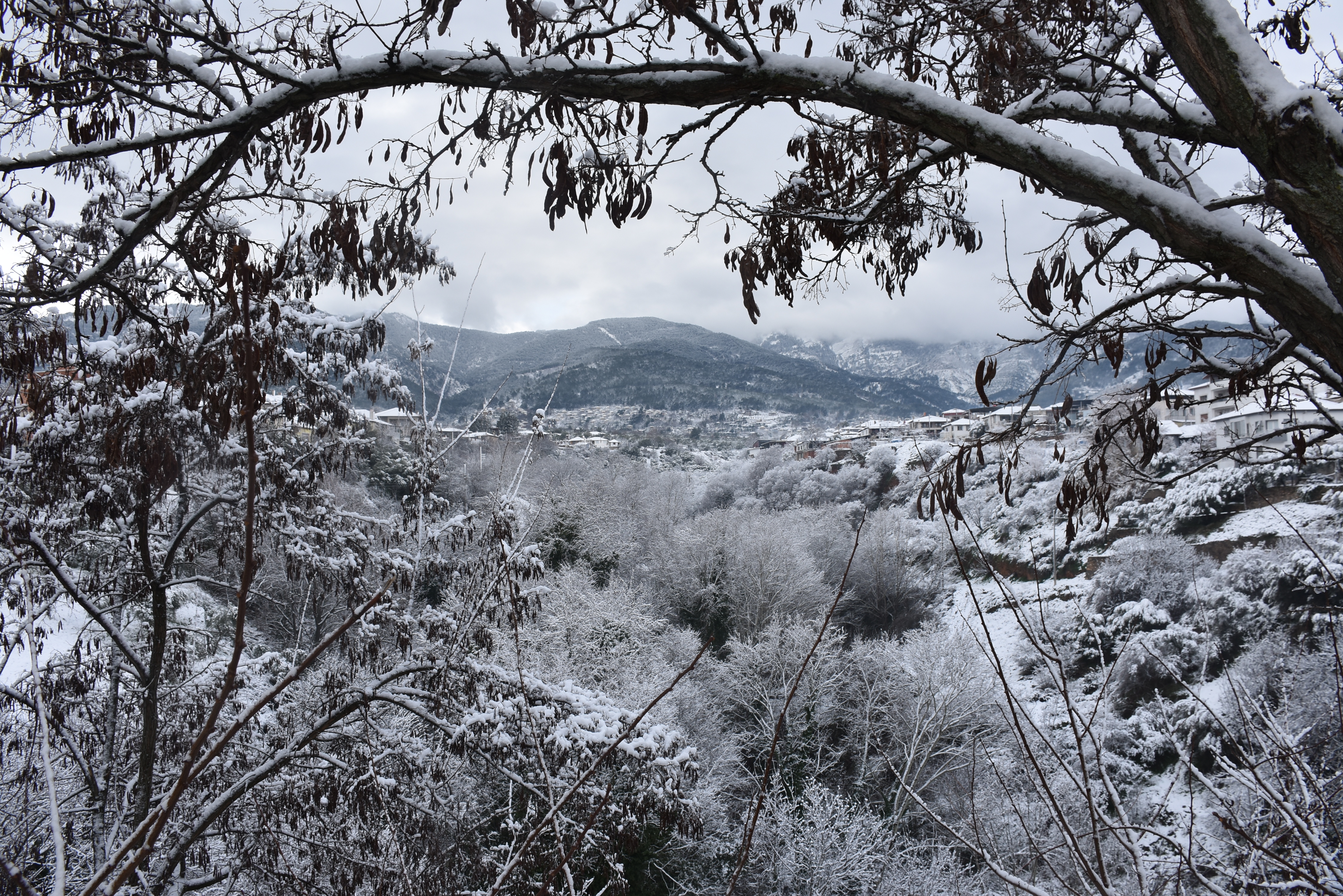 Iki Yil Once Karacasu 542153 83F1C90Bb52F863Bbe5880248B95304E