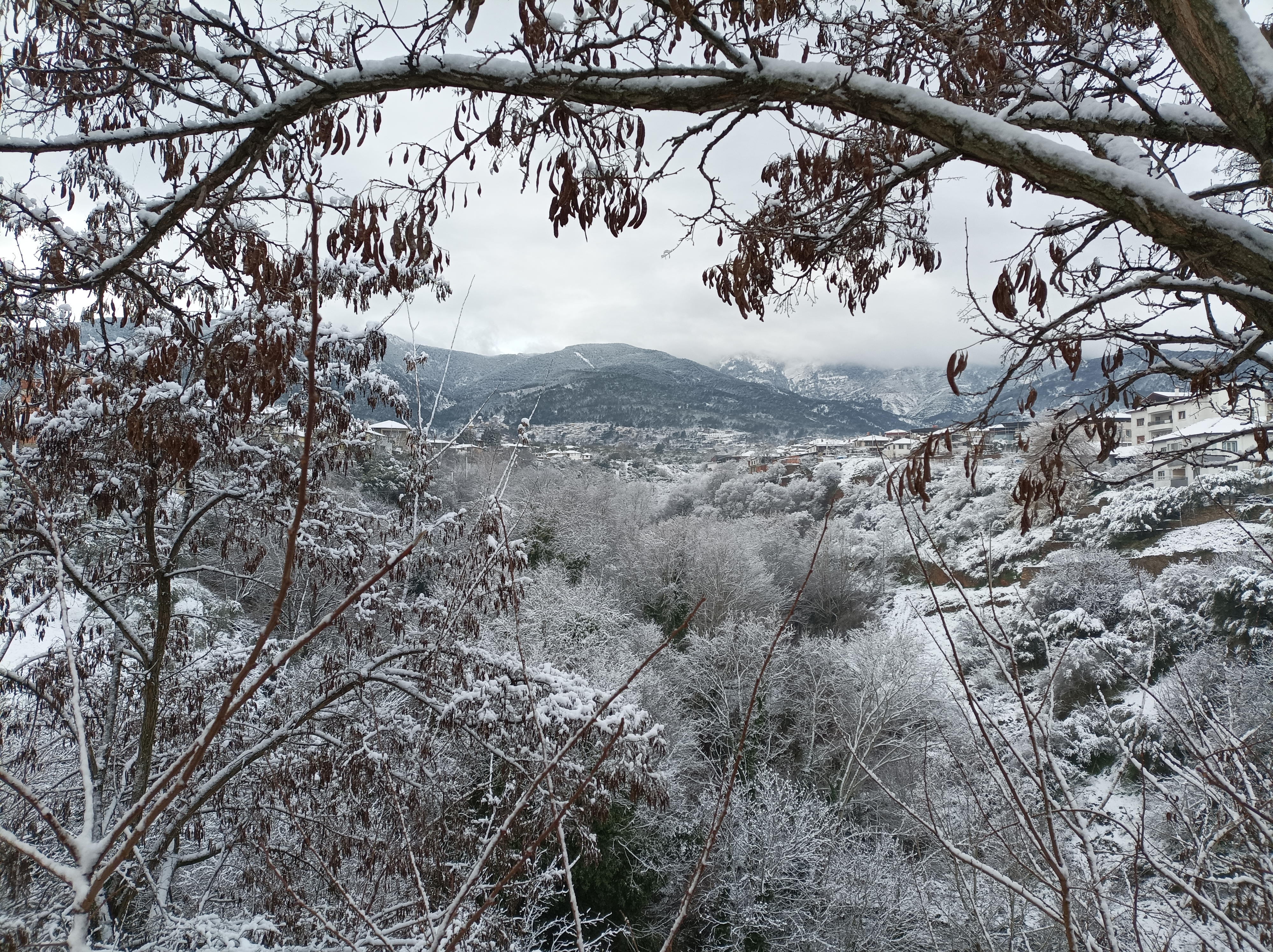 Iki Yil Once Karacasu 542153 885F44914A07Fb69Ceb7Fdf235E0C121