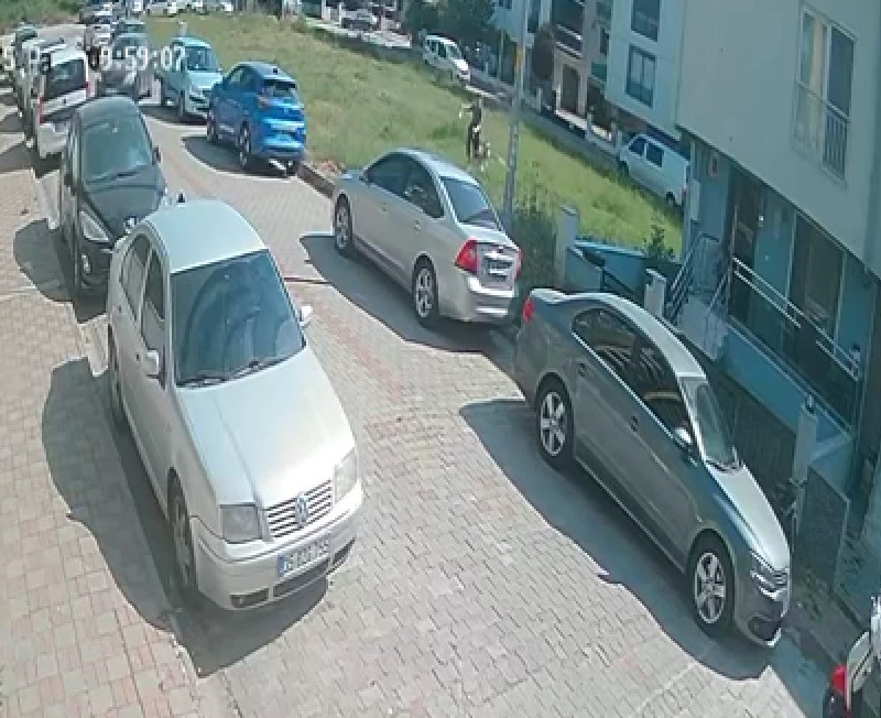 Aydinda Sinava Giden Ogrenciye Kopek Saldirdi 0D213Ec60Aa51D4D5362A38F27Cc17Cb