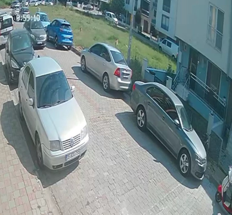 Aydinda Sinava Giden Ogrenciye Kopek Saldirdi Fb94C8F589788B1F04711Dbeabea8778