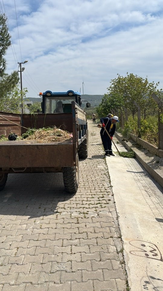 Belediye Ekipleri Akkoyde Otlara Gecit Vermiyor 185E871F894Fb811418525297Fe83D94