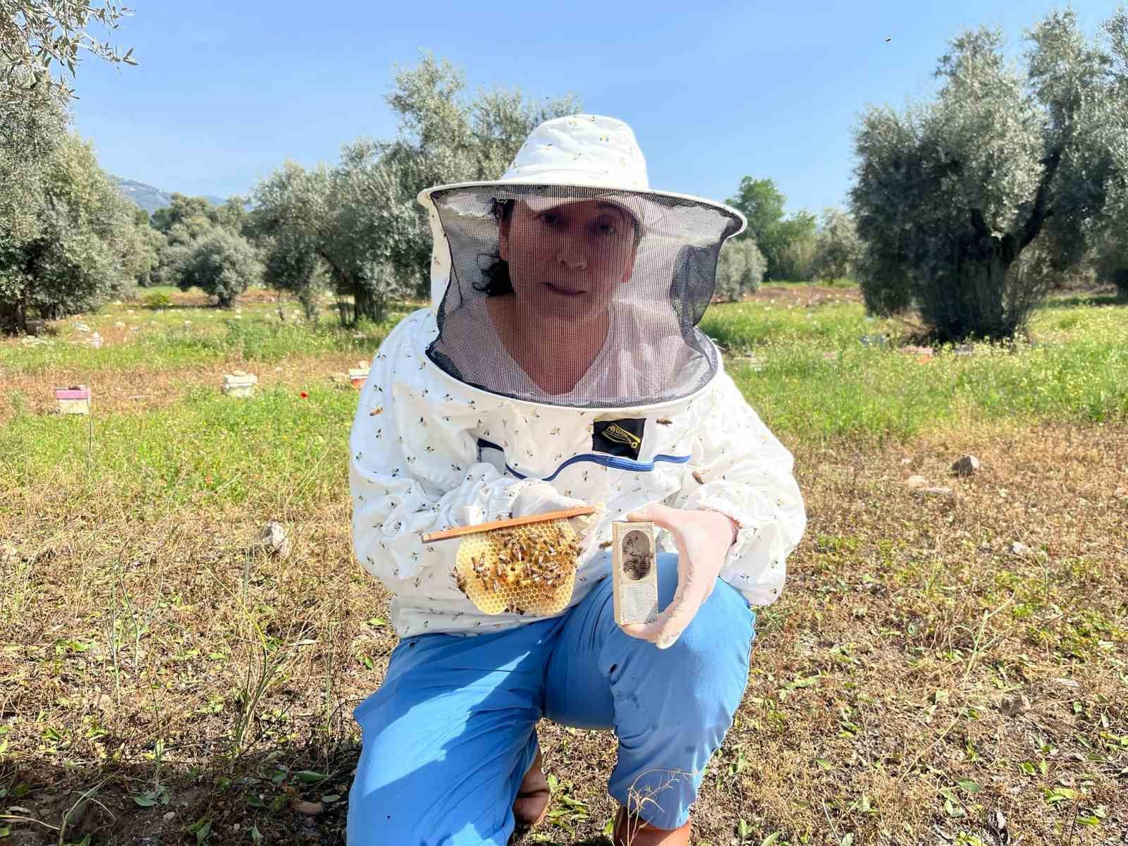 El Ele Veren Gelin Gorumce Ulkenin Ana Ari Ihtiyacini Karsiliyor 76524Aea2686Ba9B91Fbfaab5Ae13B13