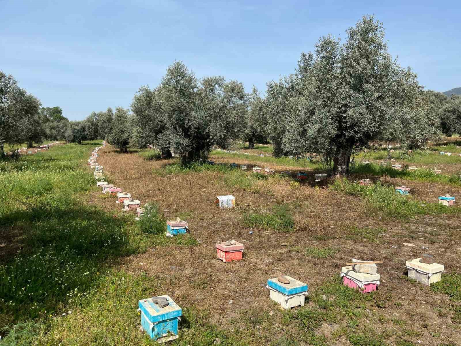 El Ele Veren Gelin Gorumce Ulkenin Ana Ari Ihtiyacini Karsiliyor A6277755Cba3B415B8247Cb32Ac984Db