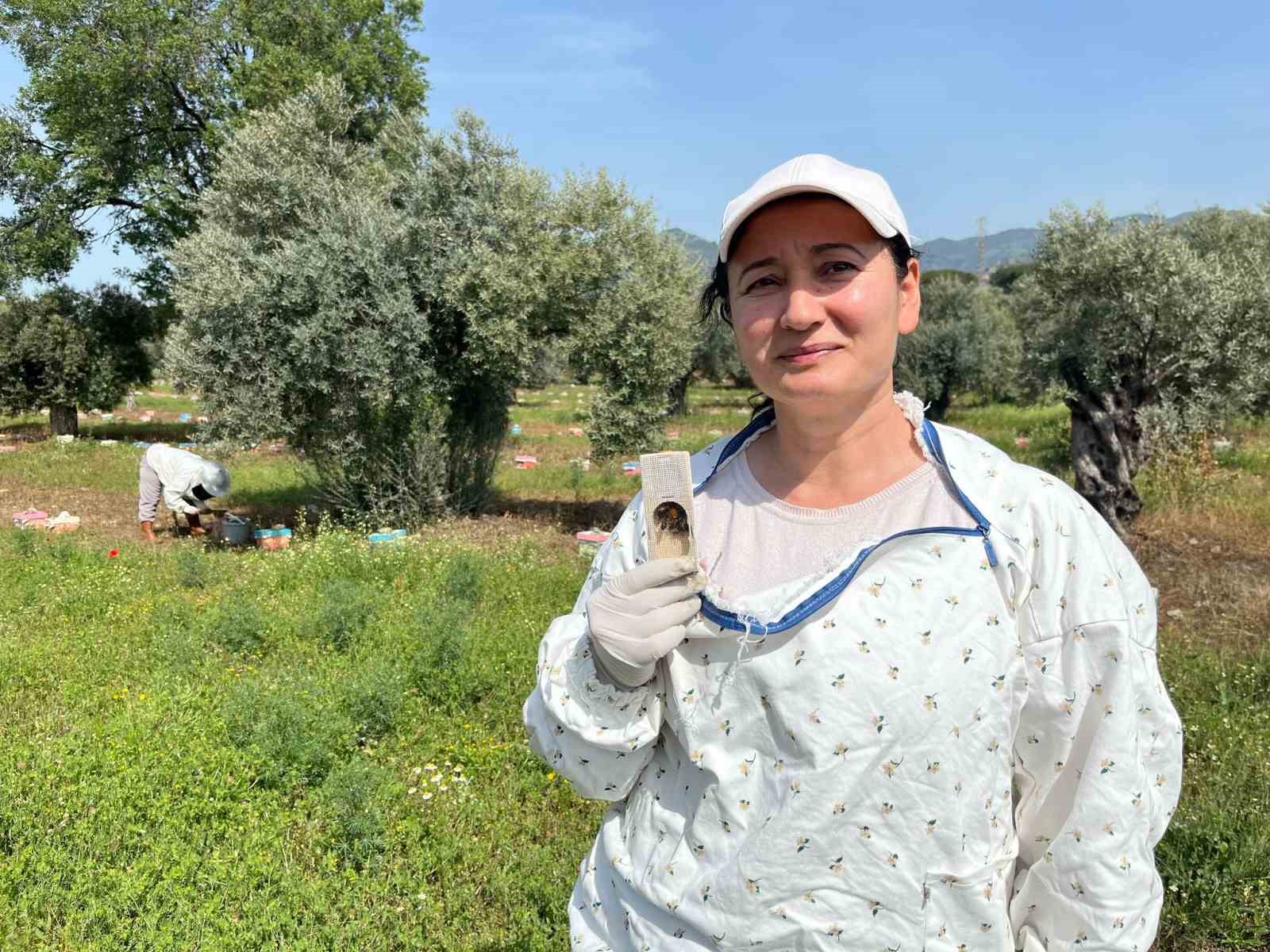 El Ele Veren Gelin Gorumce Ulkenin Ana Ari Ihtiyacini Karsiliyor Fa59B0E3C4002Cf13Eb6F6772B4174A8