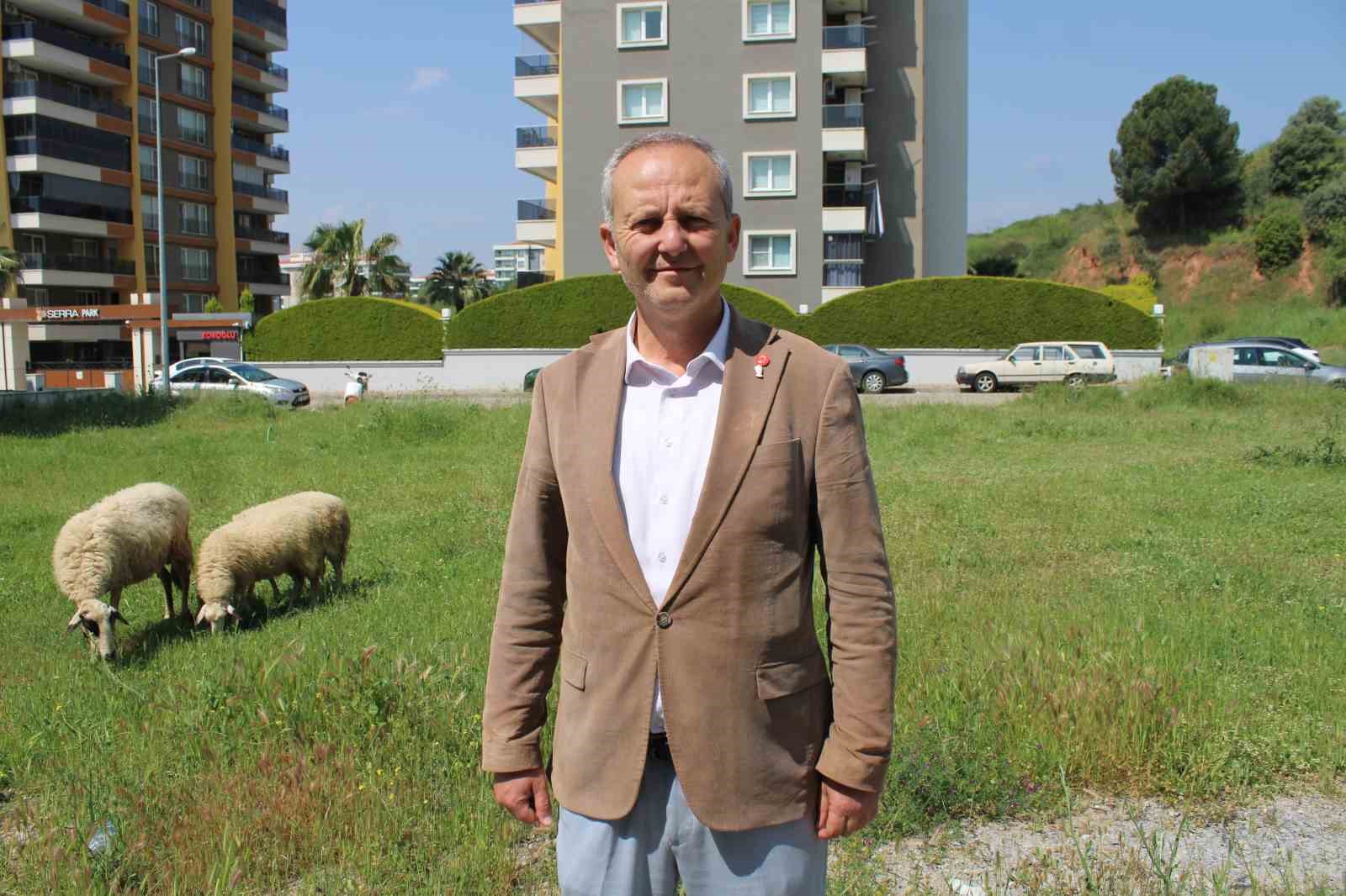 Mahalle Sakinleri Basibos Kopeklerden Tedirgin Ba742Cb4B2Be58F89651694Efcd053Ab