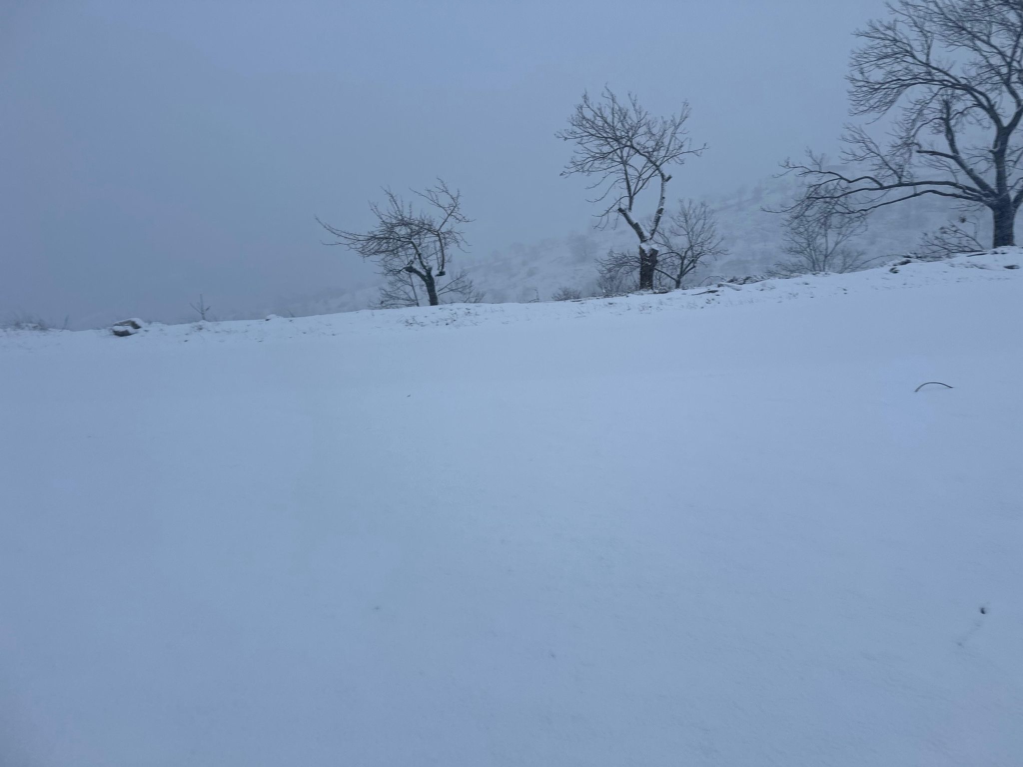 Nisanda Kartpostallik Manzara Ya (1)
