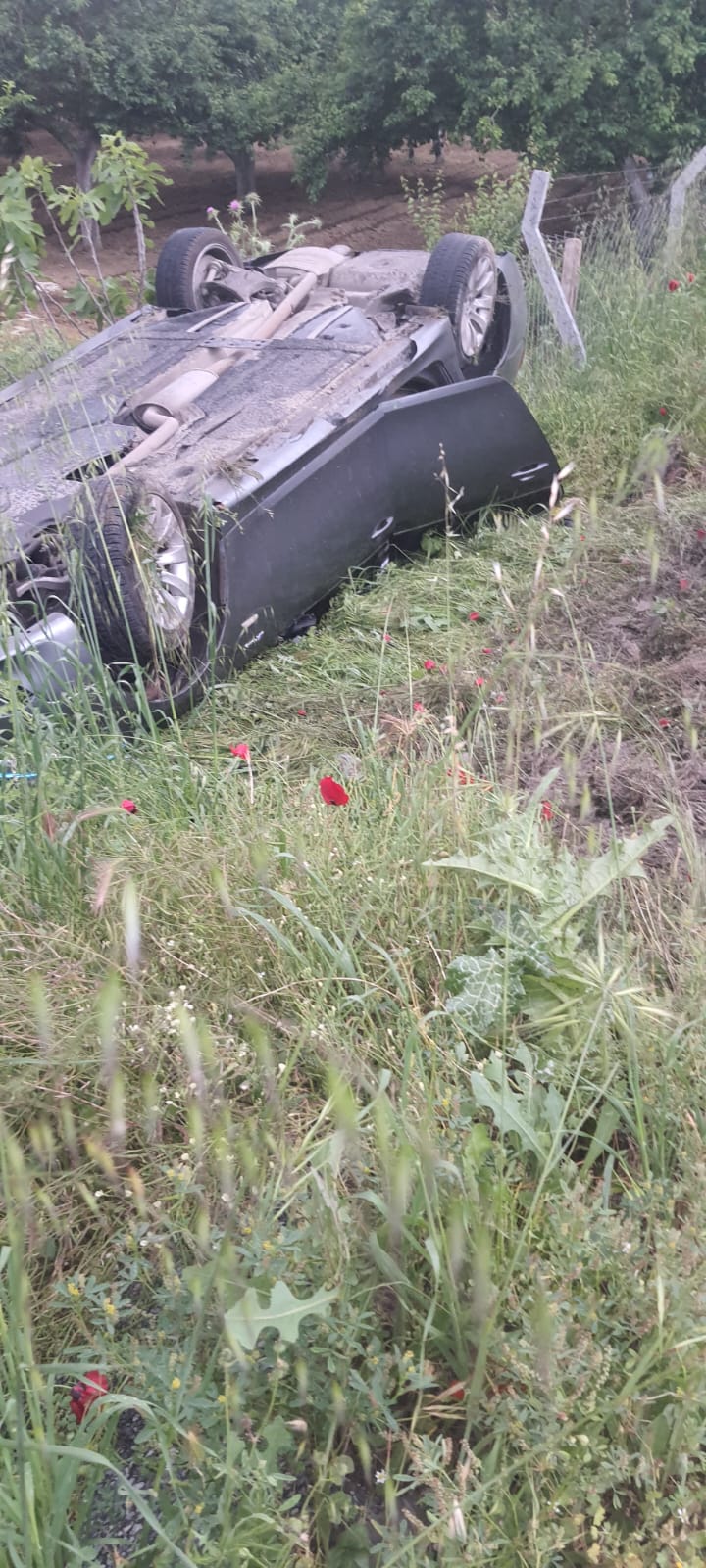 Whatsapp Görsel 2025 04 27 Saat 18.45.29 57817771