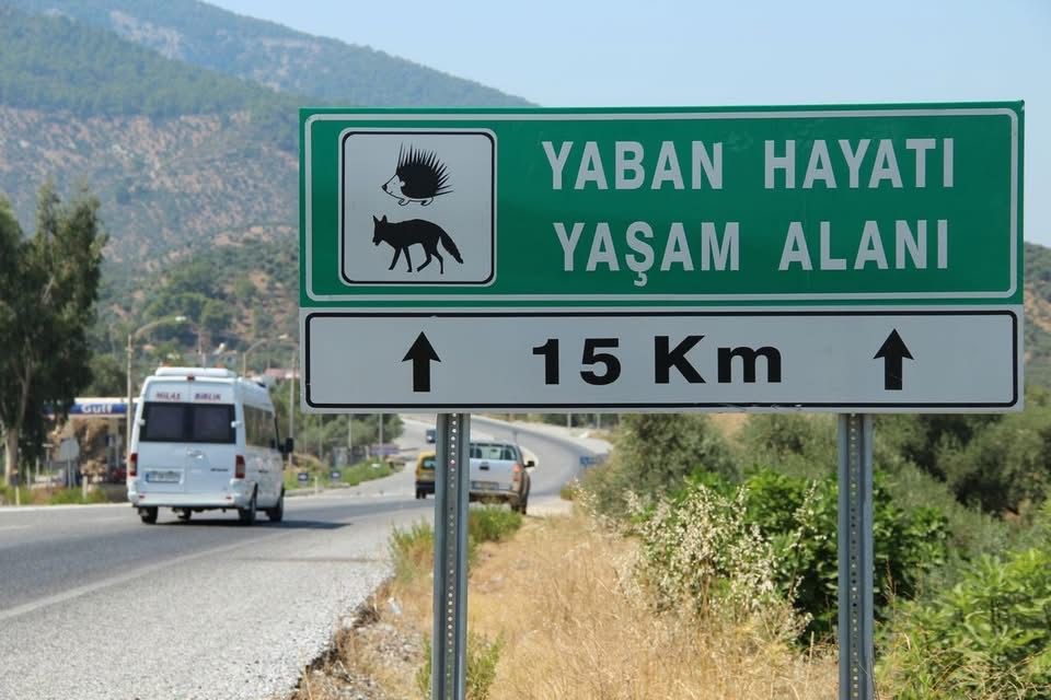 Baskan Surucu Cok Nadir Ve Onemli Bir Turu Daha Kaybettik 76C59E958E1E80E87Ce055125E3D7Edd
