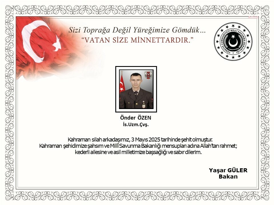 Image-6