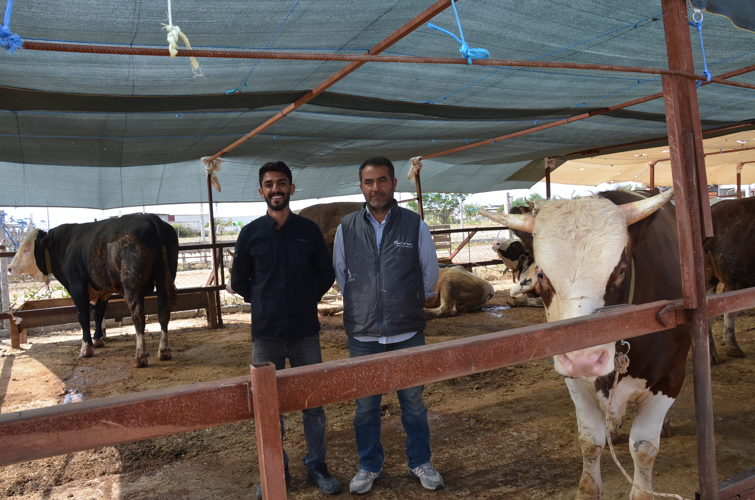 Kurbanliklar Didime Geldi 567143 Dda97259A20855F3Df8Eef8B30480967