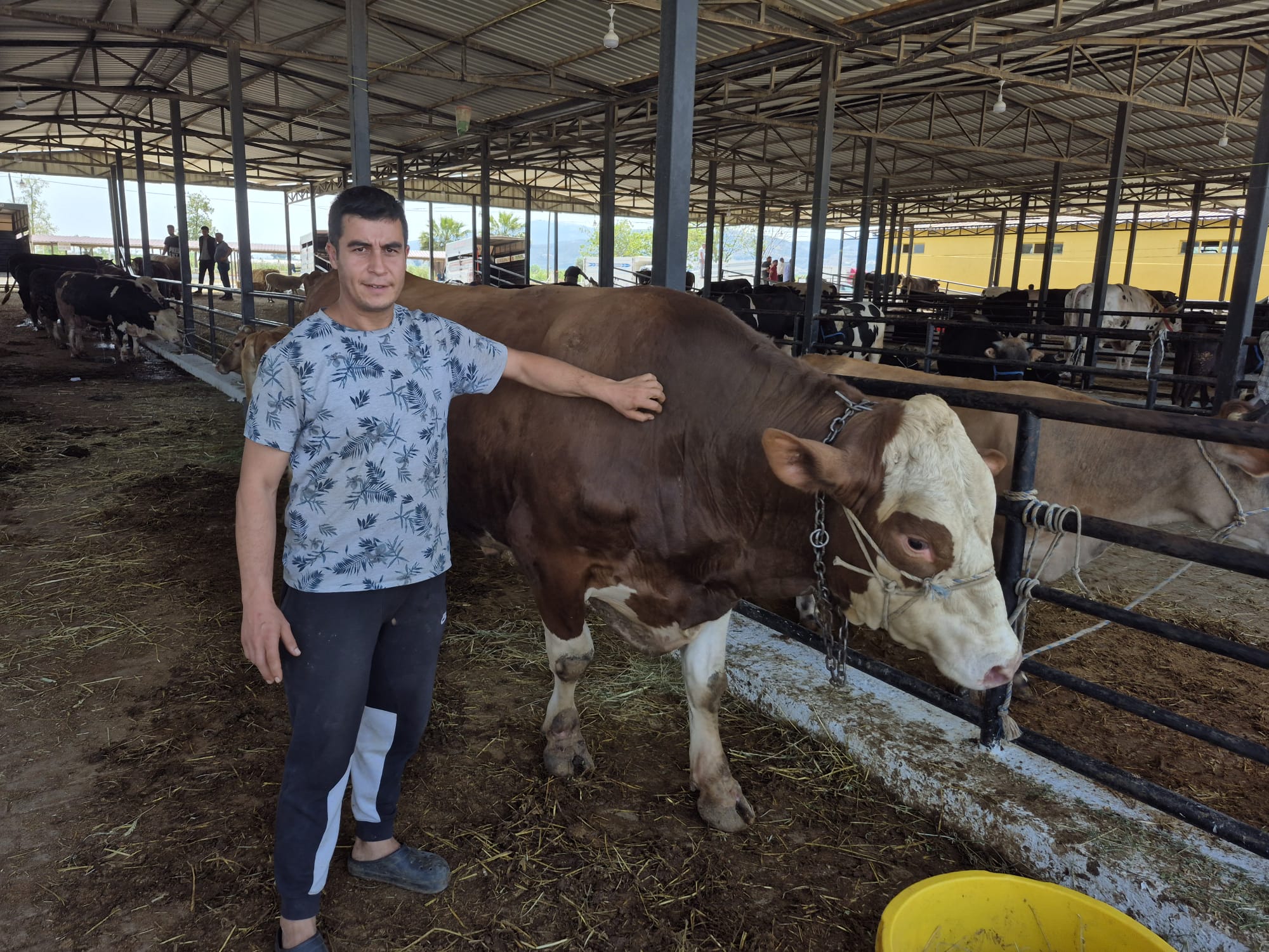 Aydin Hayvan Pazarinin Gozdeleri Onlar Oldu 573007 3D2C996C04A664F8B83Cf0B83467F850