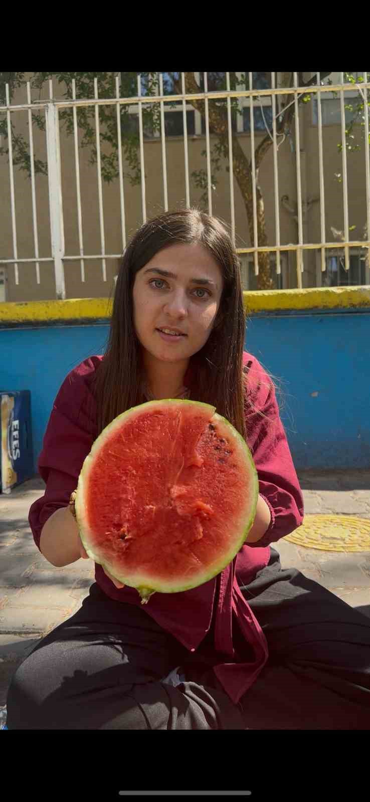 Aydinda Yapay Zeka Testi Yapay Zeka Karpuz Seciminde Sinifta Kaldi 442Cebd7F8E12605459665734B8Cf36C