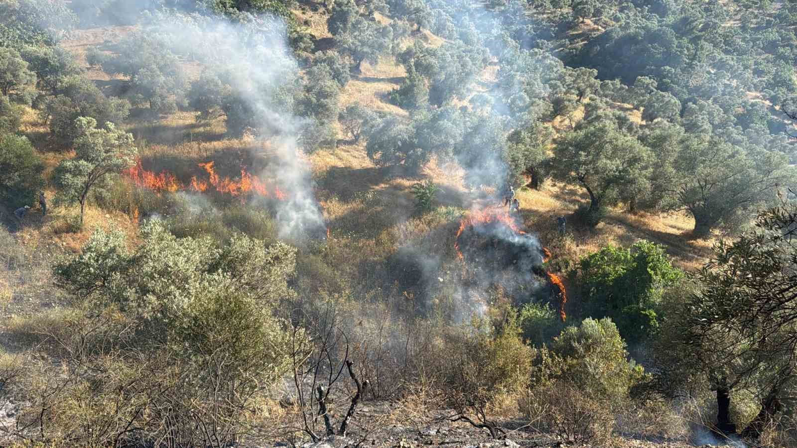 Aydinda Zirai Alanda Yangin Cikti B2Ffeb2Ff88D4946Cdf897359385Ca08