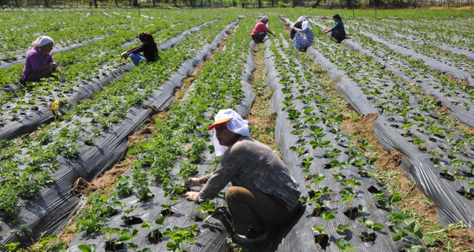 Baskan Kocadan Yatirimlara Tam Destek 579413 5585Be91438884266F45Ccfe11A5Dbe1