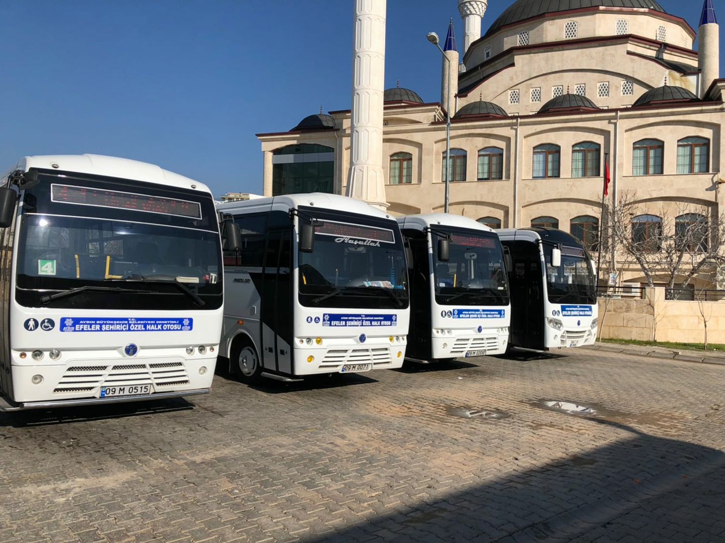 Efelerde Klima Acmayan Cezayi Yiyor 579850 1606F074D7313164Ea38D334B0D5A1E3