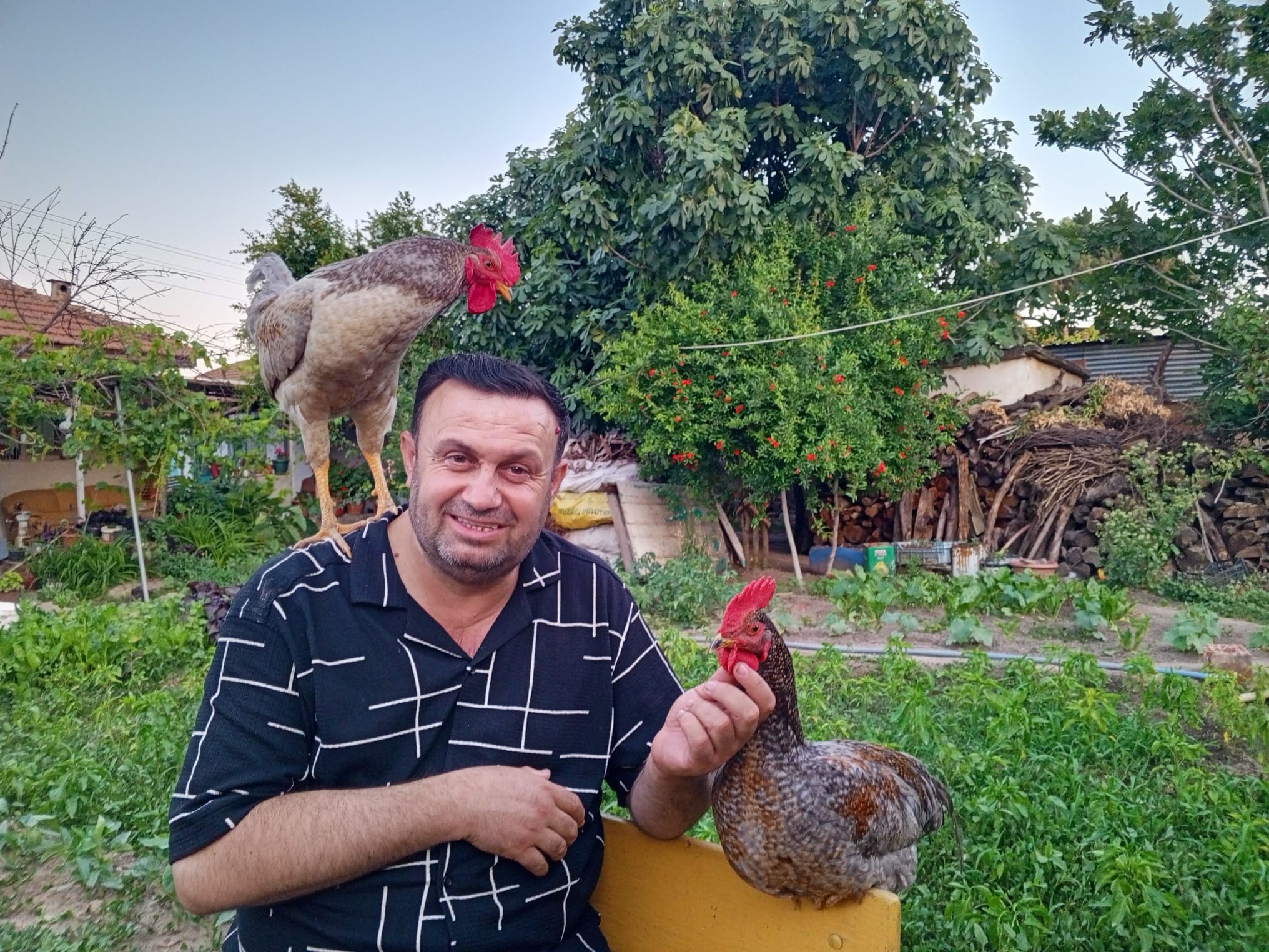 Horozlariyla Sevgi Bagi Kurdu Gorenler Sasiriyor 574089 Adf2B6Fdc1078740Edcc648E967D33D4