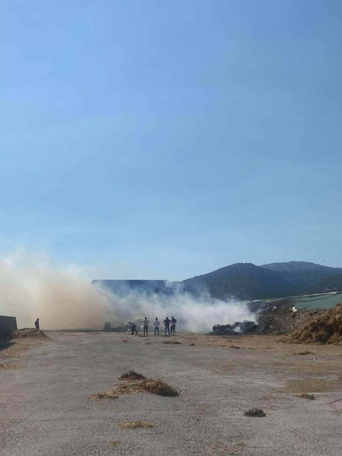 I M G 20250628 W A0020