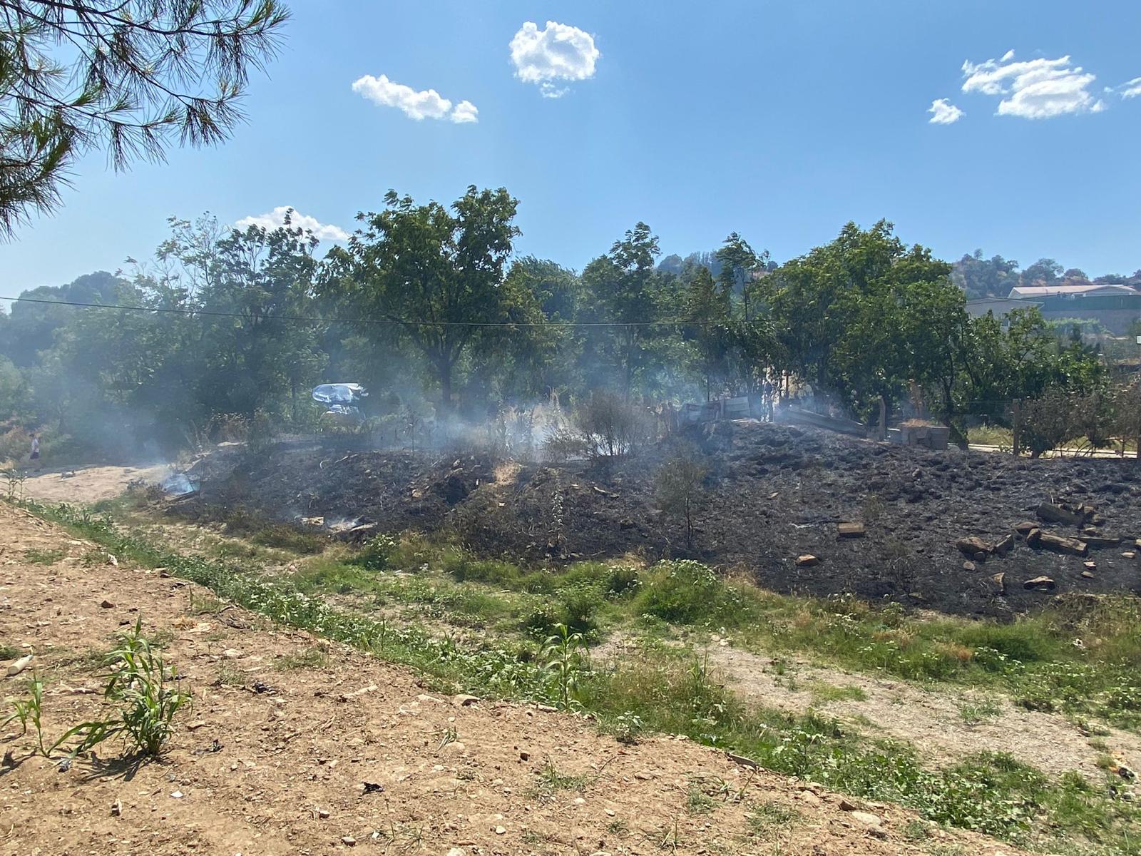 I M G 20250629 W A0024