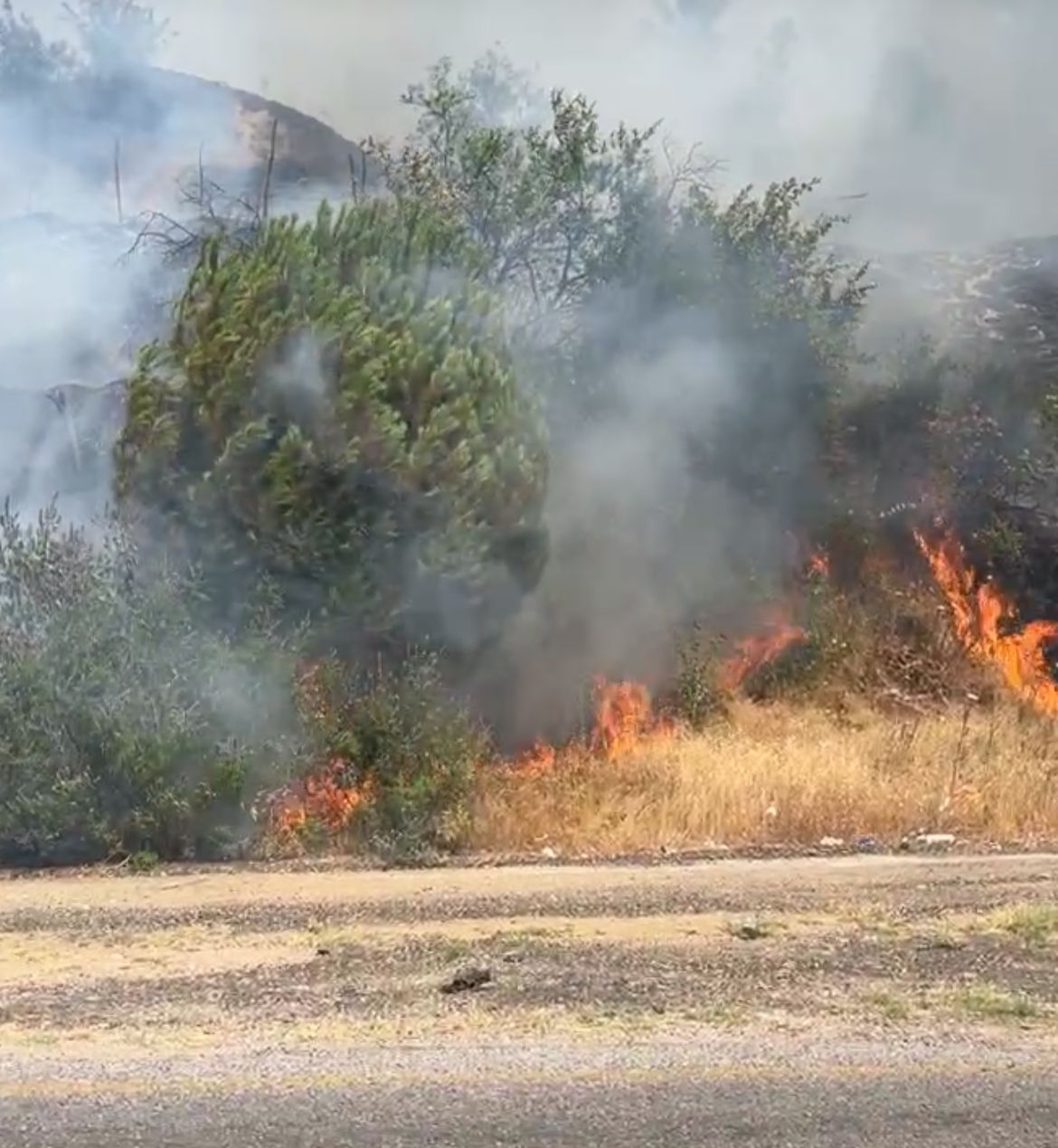 I M G 20250629 W A0031