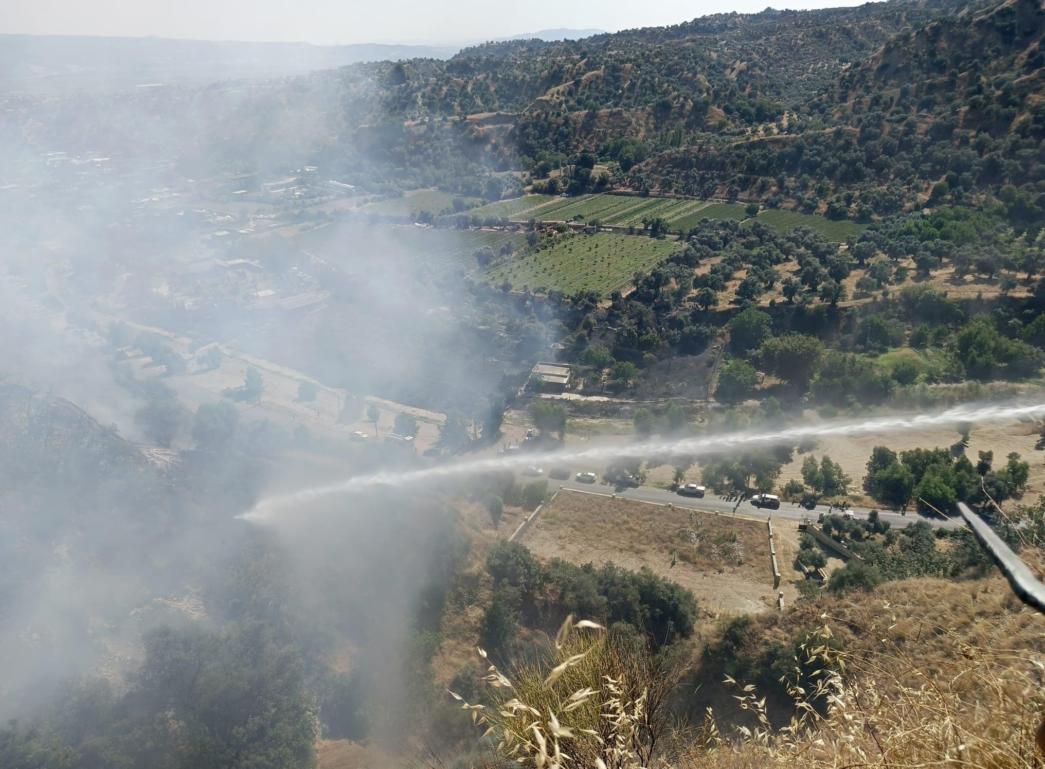 I M G 20250629 W A0039