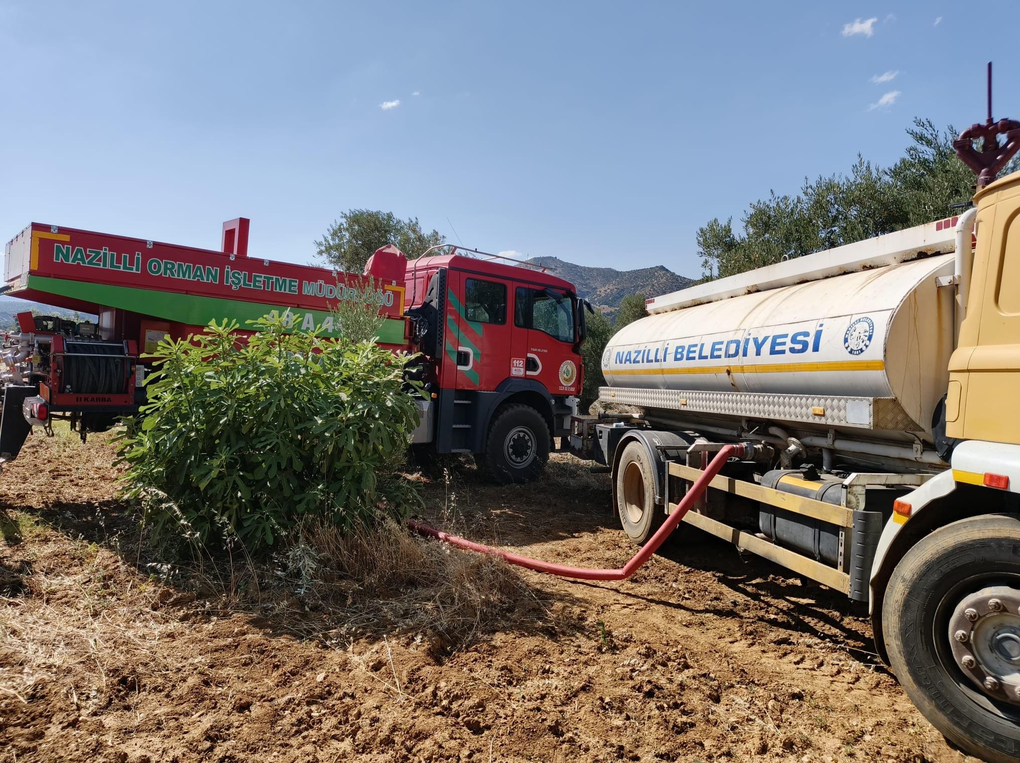 I M G 20250629 W A0040