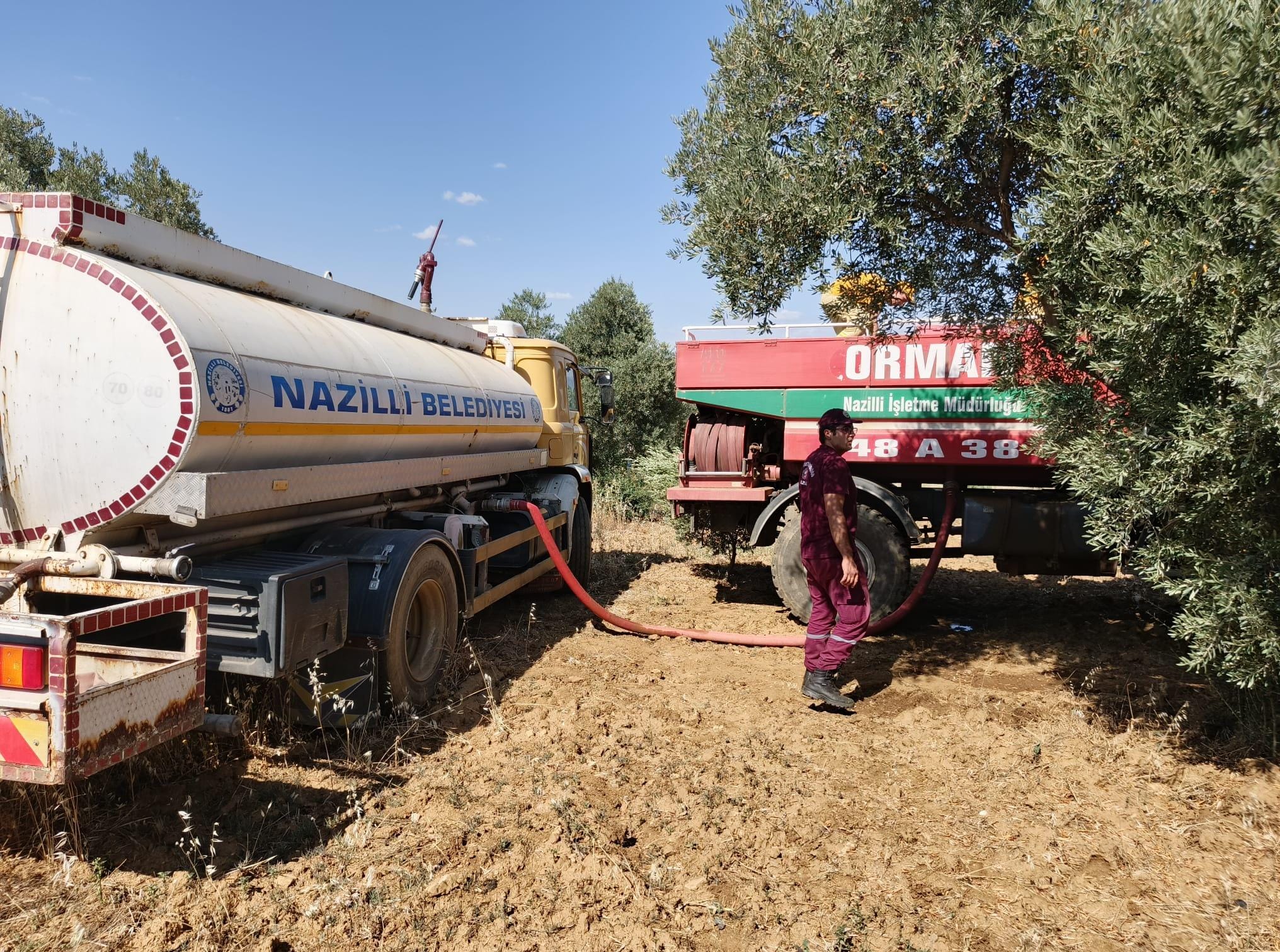 I M G 20250629 W A0042