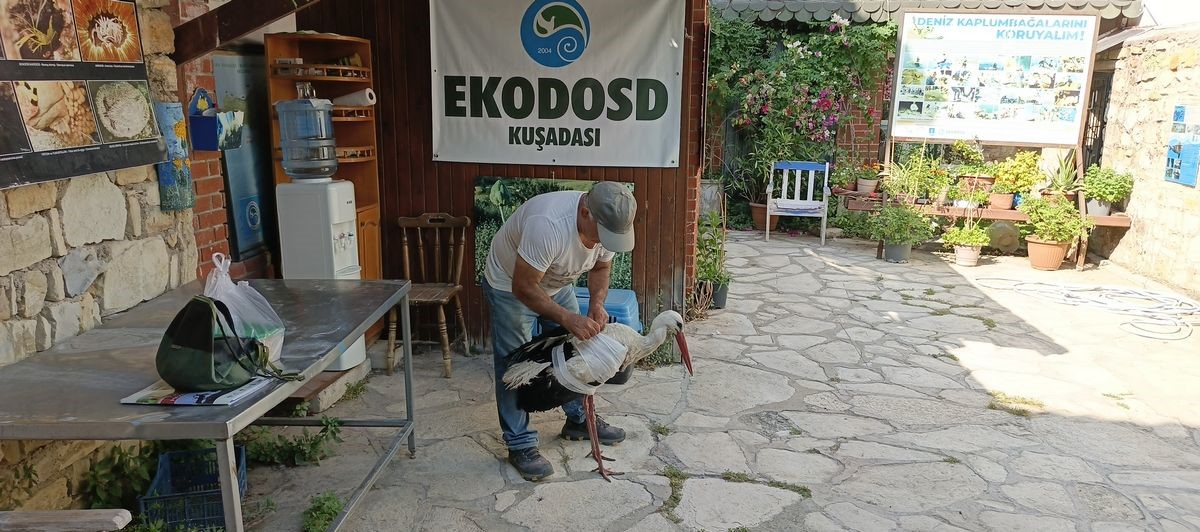 Kamyon Carpan Leylek Tedavi Altina Alindi Baskan Surucu Dikkat Cagrisi Yapti A8D0B469F08D5Fe1709Ddb9Cdd6D9B31
