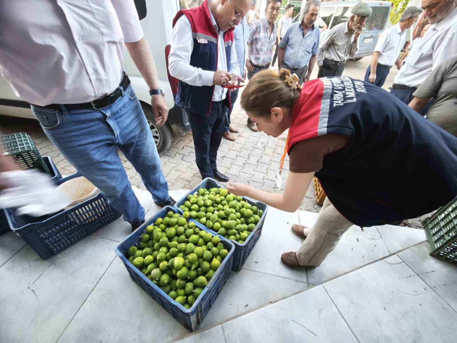 Karacasuda Ureticiye Kaliteli Ilek Uyarisi D3F7818Cf929A2Bd5D225F893E5F5955