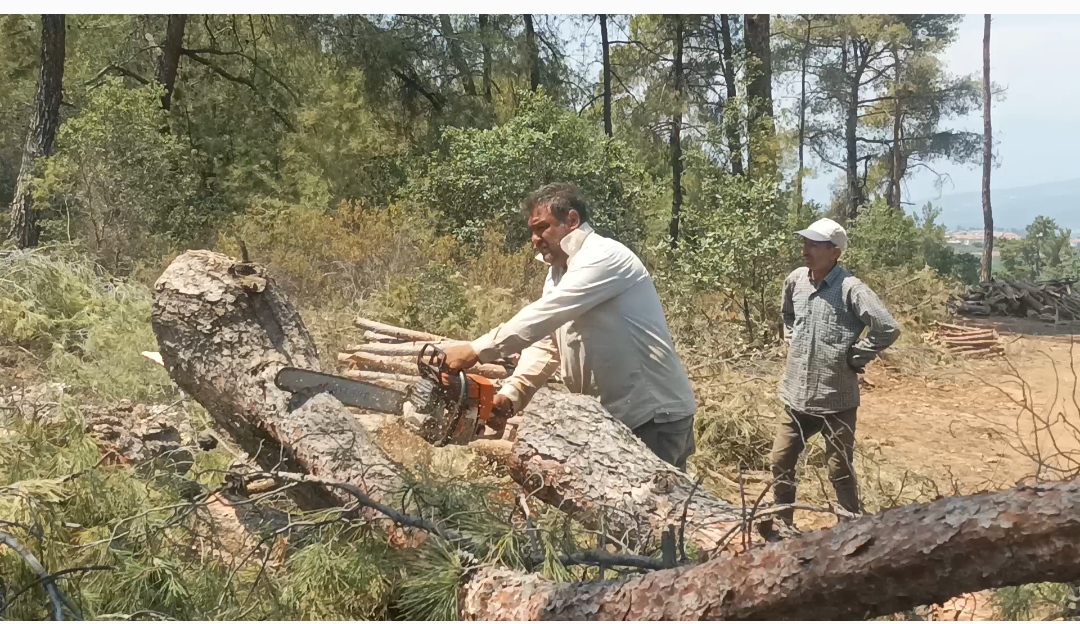 Karacasudaki Agac Kesimlerine Halktan Buyuk Tepki 578451 3812Adba1E821Ea90B784Bf93Fdcecb3