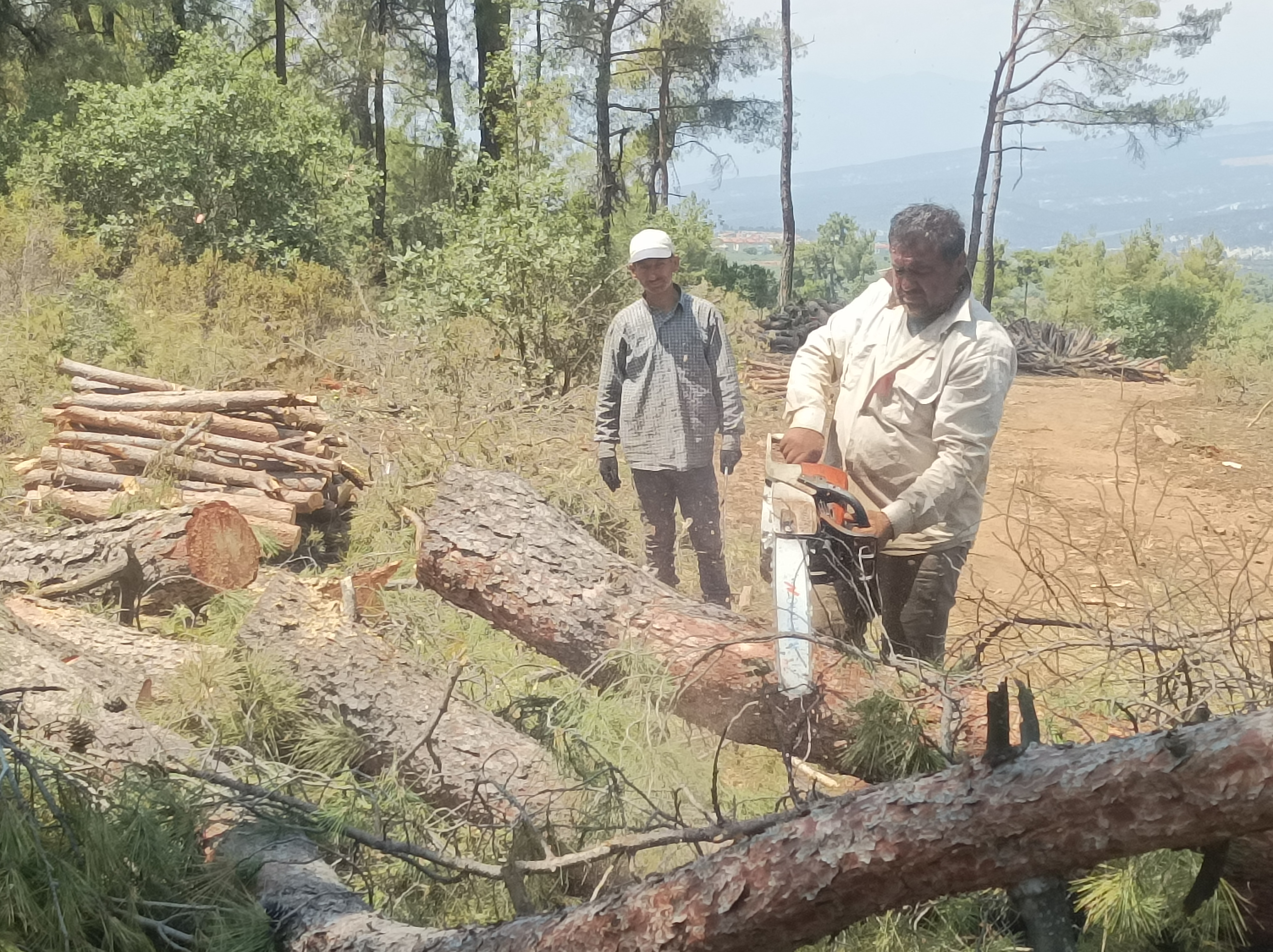 Karacasudaki Agac Kesimlerine Halktan Buyuk Tepki 578451 8784E325C46F5Fdcac977A7Ecb37559B