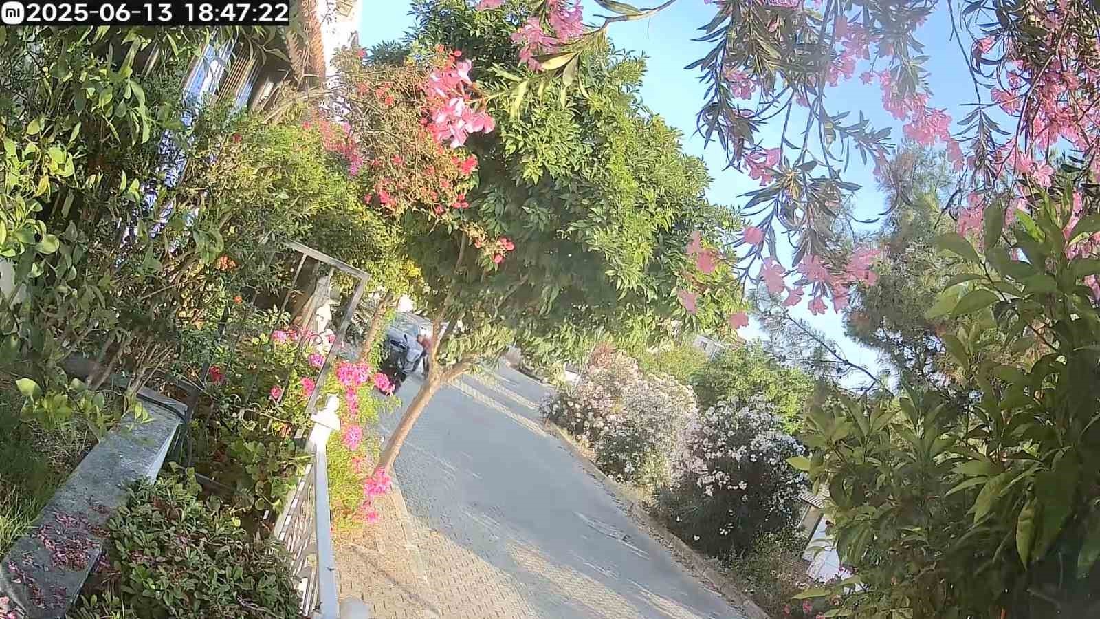 Kontrolden Cikan Motosiklet Park Halindeki Araclara Carpti 1 Yarali B376B09Bc2Ff7D8B516566962F65Bf1A