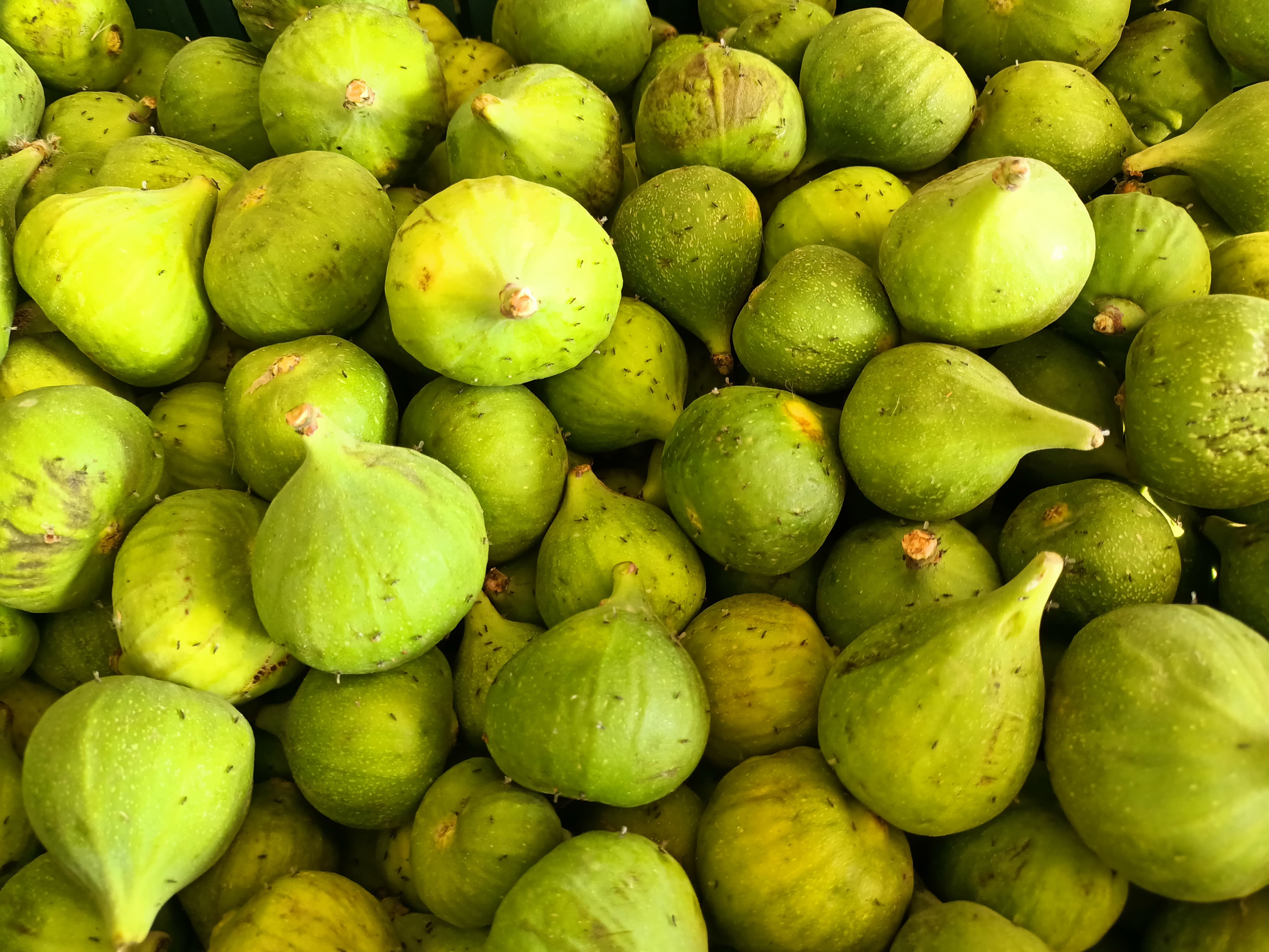 Nazillide Ilek Pazari Denetlendi Incirde Kimyasala Yer Yok 575168 551B33Ccb94Bfab5Db8505652112889E