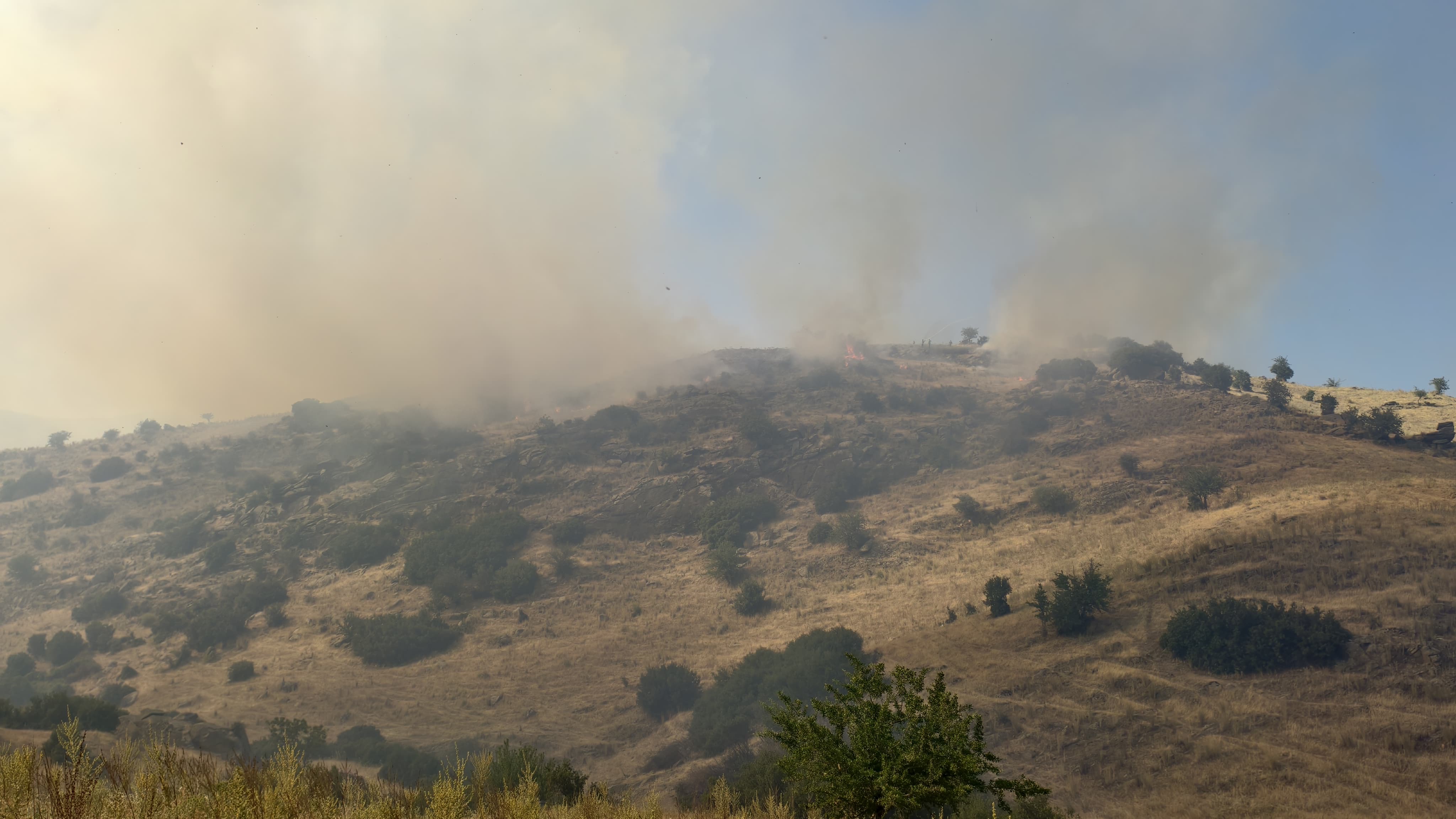 Nazilliyi Su Motoru Yakti 50 Hektar Alan Kul Oldu 578146 1Dbadb7C5F2D40C8Ce4Bcd2B9E4B8Acc