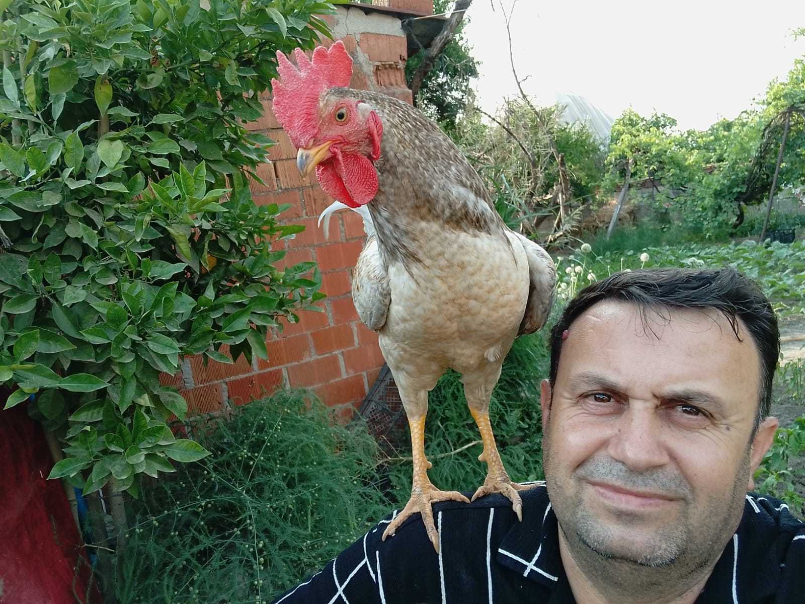 Whatsapp Görsel 2025 06 09 Saat 11.59.33 9A37Feeb