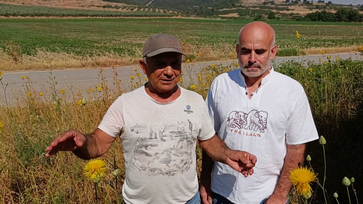 Yeni Bir Tulusah Yasam Alani Tespit Edildi 574682 2B73401311Fbad9800Fa9D47F122Fb72