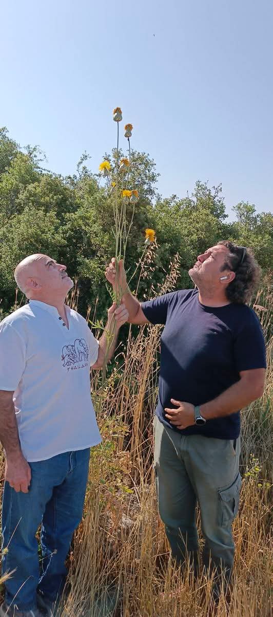 Yeni Bir Tulusah Yasam Alani Tespit Edildi 574682 736D1F53Fdb299Ef40D46560F8E68Eb7