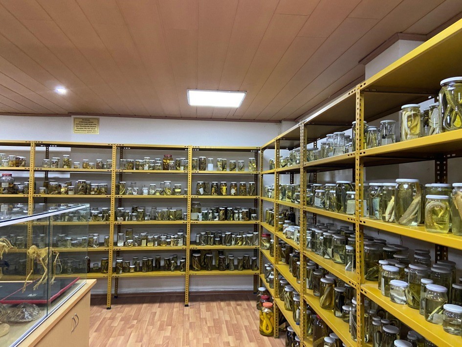 Yilan Muzesi 185 Surungen Turuyle Egitim Ve Arastirma Merkezine Donustu C960Ed1A8C47F85A7B60B3760Ad439Ce
