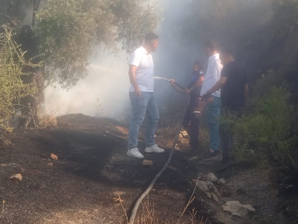 Zeytinlik Yangini Korkuttu Ekipler Seferber Oldu 574405 679097A61Ade6F18167776372F8Dc323