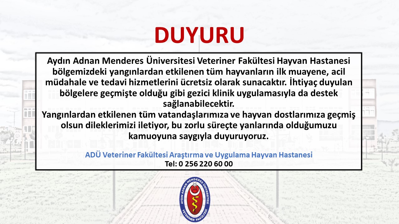 Aduden Yanginzede Hayvanlara Ucretsiz Tedavi Destegi 581027 D77E9Cdb982238504Df264F71C8Ac2C6