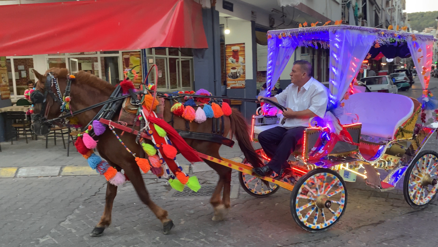 Aydin Trafiginde Dikkatleri Uzerine Cekti 582942 2A33Dea8C47C6A7B4A5Ee995Cae3E81D