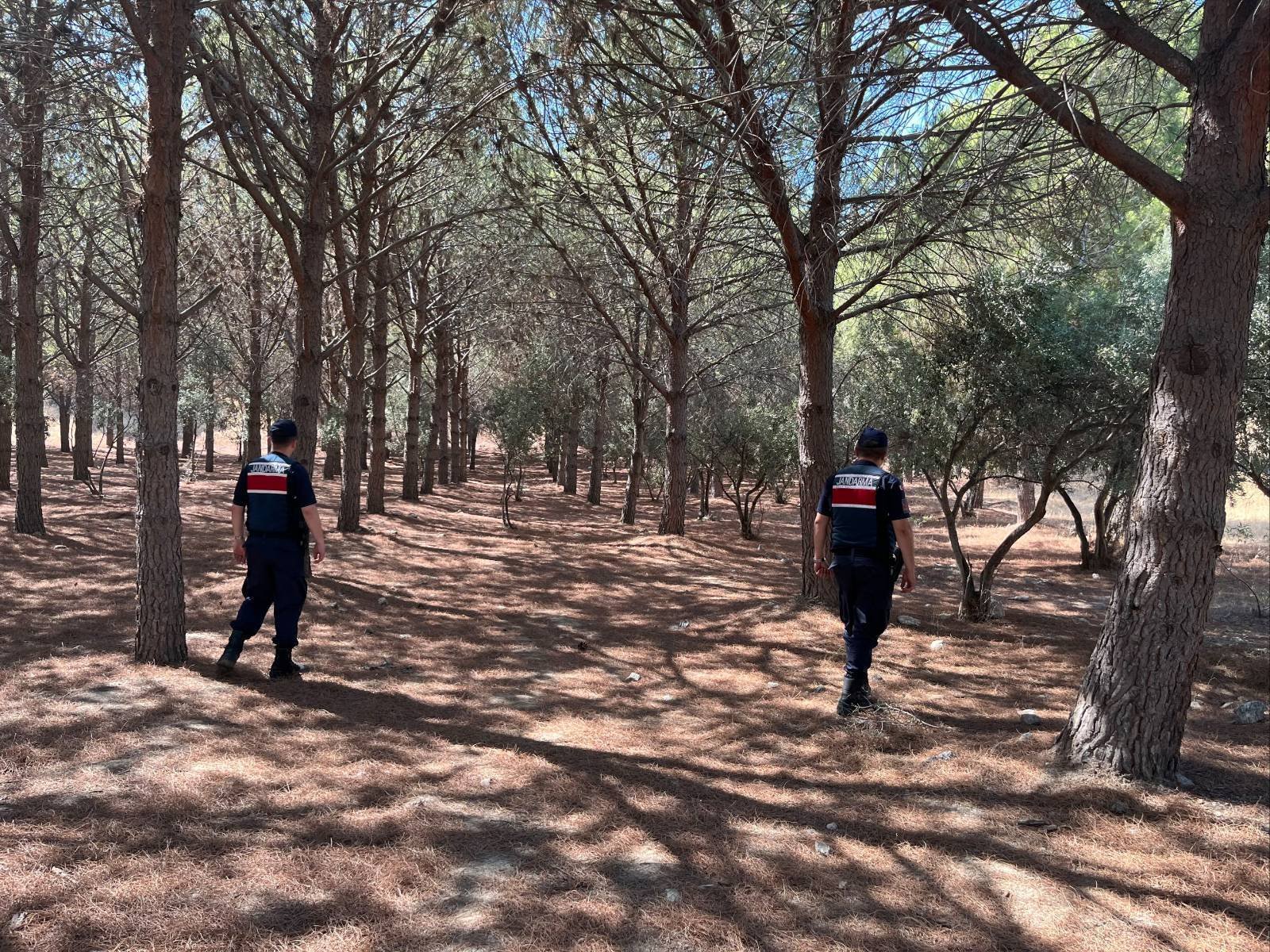 Aydinda Ormanlara Girisler Kisitlandi Jandarma Denetimleri Siklastirdi 585885 15A48833Fb3Ad7034Fa7C4F6Ebfd2E9A