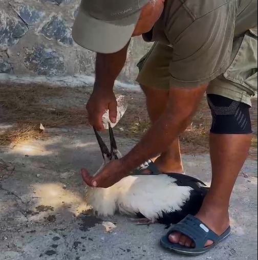 Aydinda Susuz Kalip Dusen Leylege Yardim Eli 586720 C34671C24D01D1646Ee52454063B798C