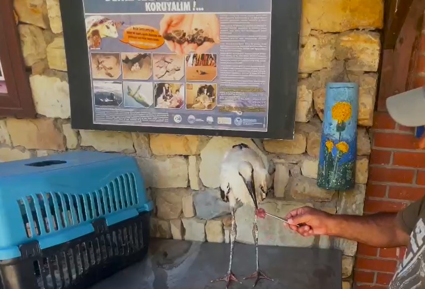 Aydinda Susuz Kalip Dusen Leylege Yardim Eli 586720 D81Cbb83491D1C96Ca3F6Dd2Daa7267A