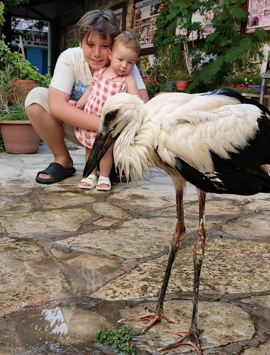 Aydinda Susuz Kalip Dusen Leylege Yardim Eli 586720 F4978092Ba2800Df6100124388Dc8Fda