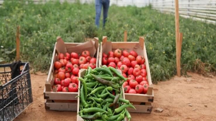 Baskan Cercioglunun Tarima Ve Ureticilere Destekleri Suruyor 5B68149Fbf5Ec1Bee7Faf68965Fc9Da6