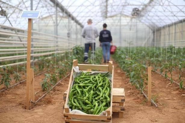 Baskan Cercioglunun Tarima Ve Ureticilere Destekleri Suruyor 70Cd510F50Cee88B593B4F4D9A4B9D67