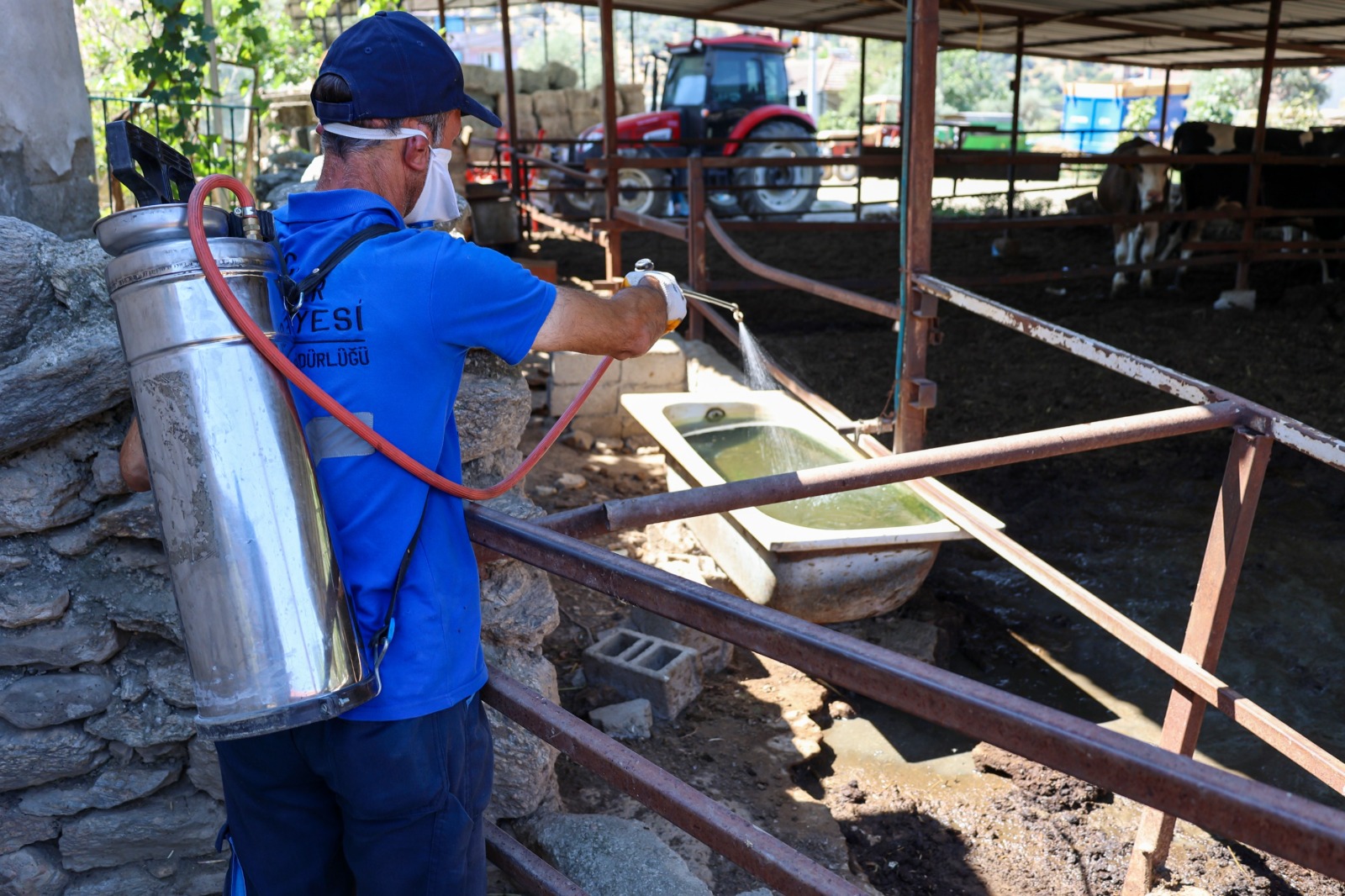 Efelerde Sineklerle Mucadele Araliksiz Suruyor 582302 30D1C659Af72A81F6F833334Fef47Ada