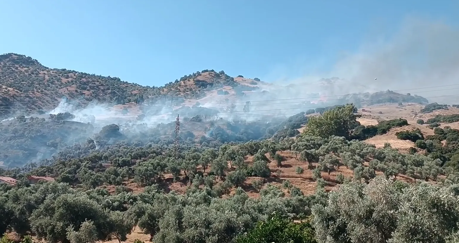 Ekran Görüntüsü 2025 07 08 102213