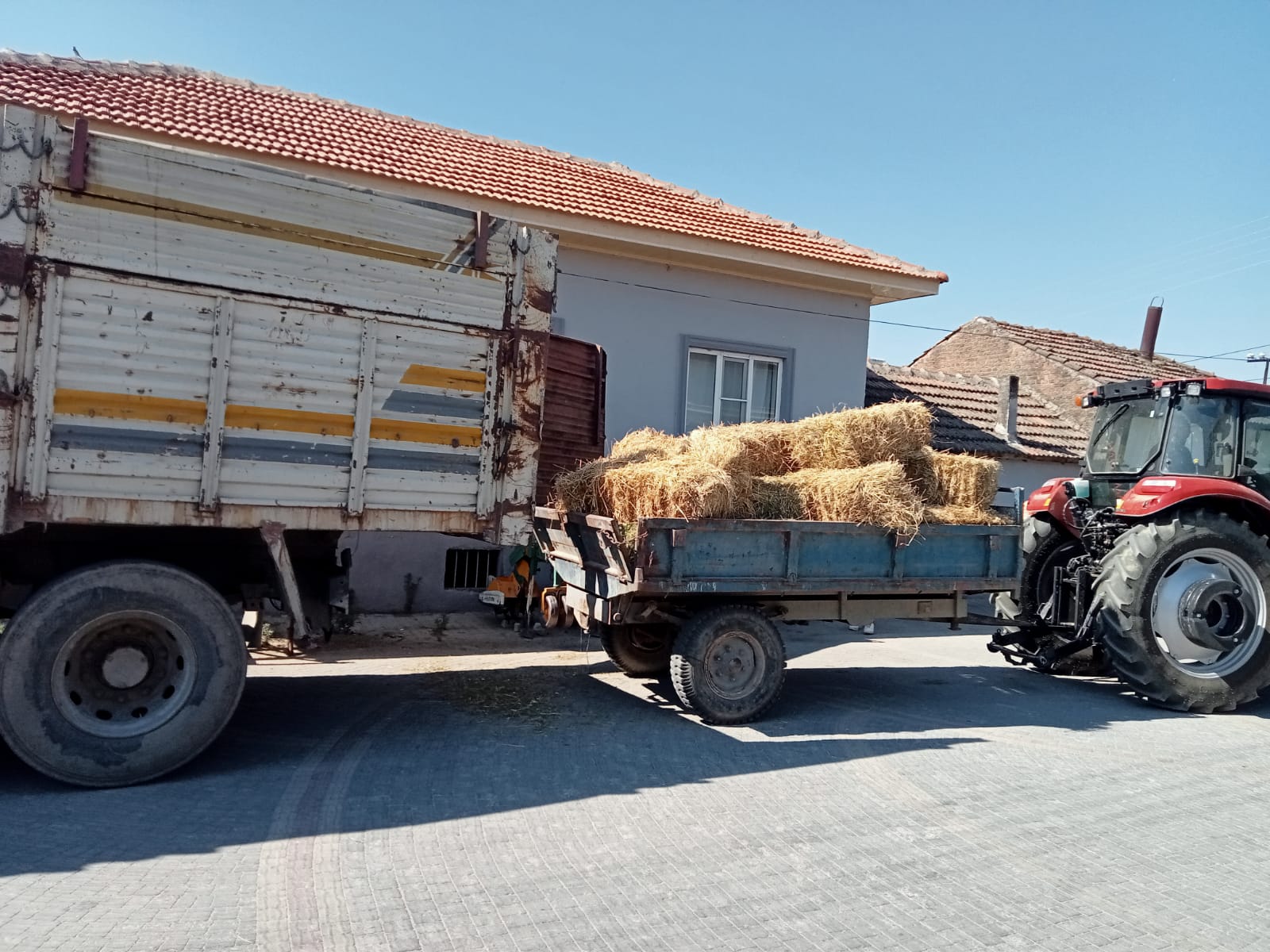 Germencik Turanlar Odemisli Ciftcilerin Yaninda Bir Kamyon Yet Bitkisi Gonderdiler 582195 75B511E1Ff1A2A8477312Ab206Aea5B3