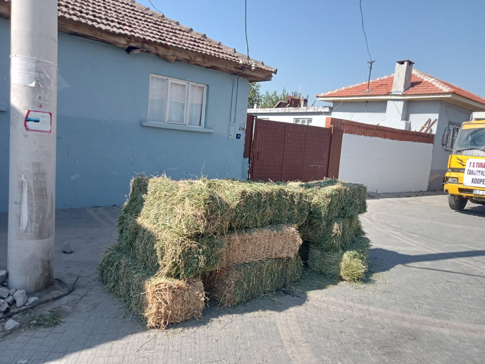 Germencik Turanlar Odemisli Ciftcilerin Yaninda Bir Kamyon Yet Bitkisi Gonderdiler 582195 Fa5811B35758Ba76Ed01E99F741A1591